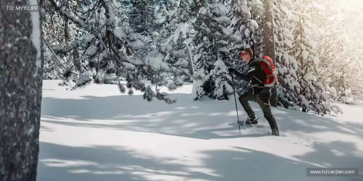 随时随地,直击赛场!📱🎯